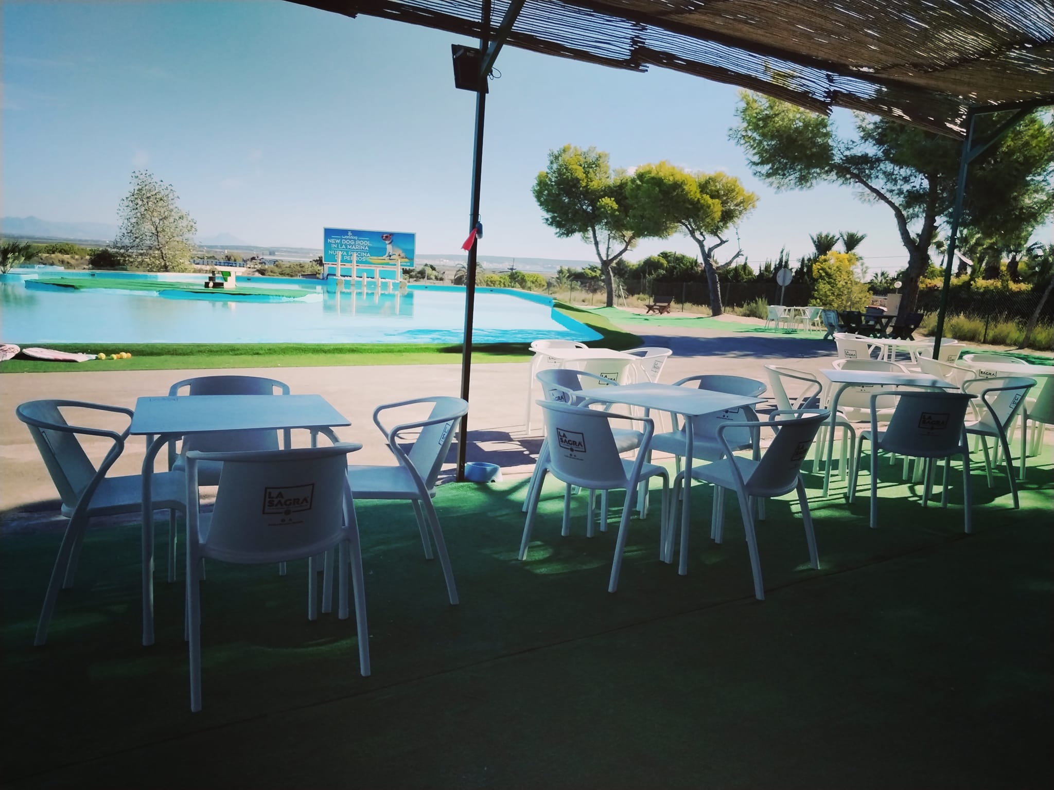 Un Rincón de Placer: La Serenidad de Nuestra Terraza con una Vista Inmejorable a la Refrescante Piscina de Worldog.