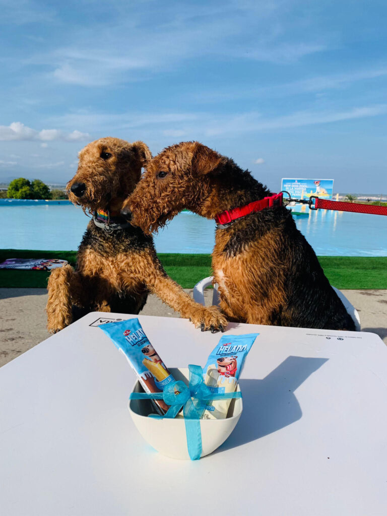 Doble Alegría: Dos Colitas, Un Cumpleaños Inolvidable 🎉